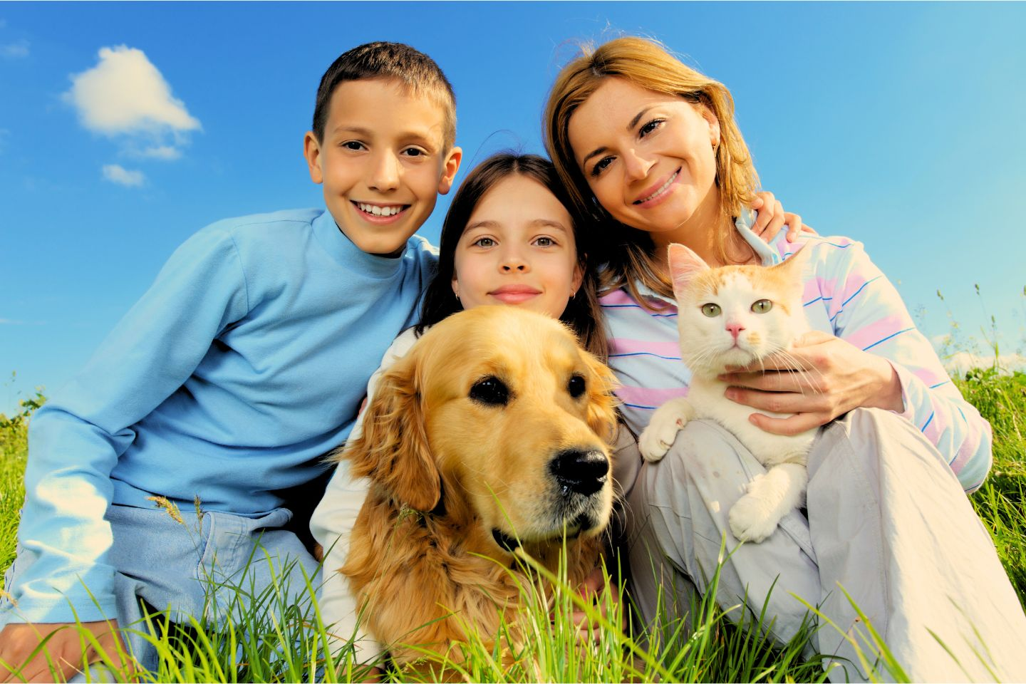 une famille heureuse assise dans l'herbe avec un golden retriever et un chat blanc